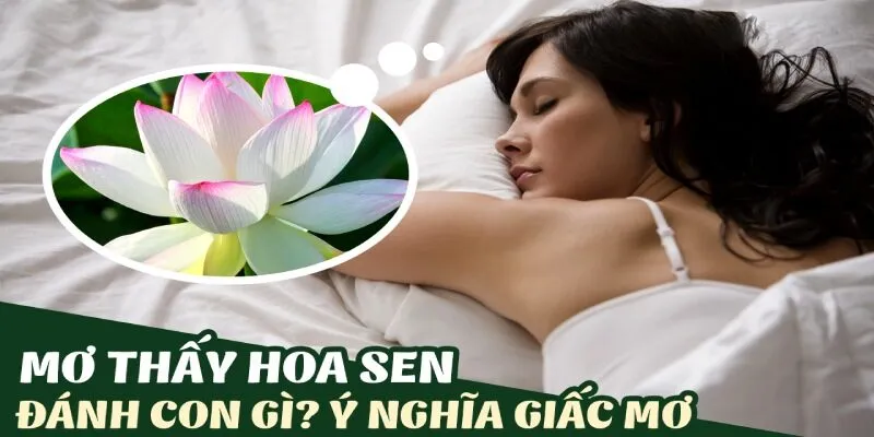 Mơ thấy hoa sen đánh số gì