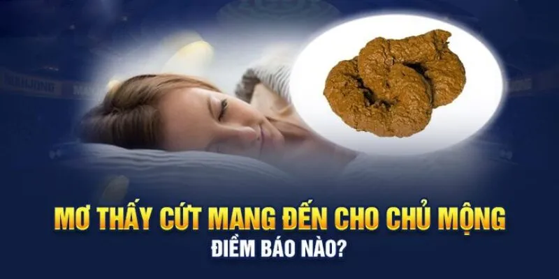 Giải mã những điềm báo thần bí về giấc mơ thấy cứt